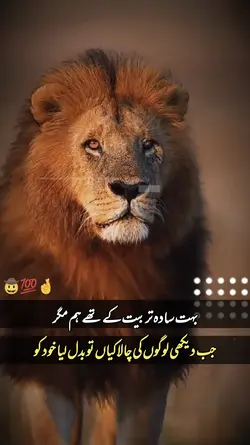 Attitude line's