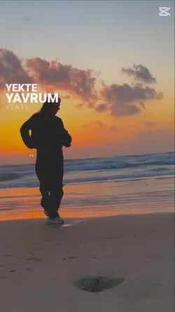 yeni şablon