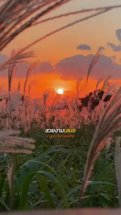 แสงวันใหม่สวยเสมอ