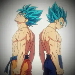 Dragon ball duo