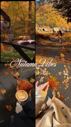 Autumn vibes