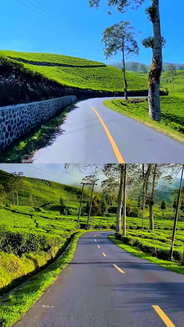 2 pantalla dividida de video