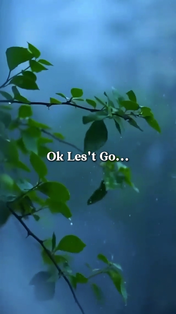 Ok Let's Go...