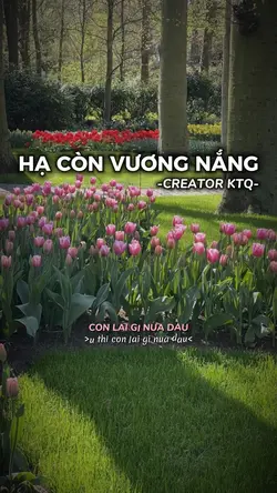 Hạ còn vương lắng