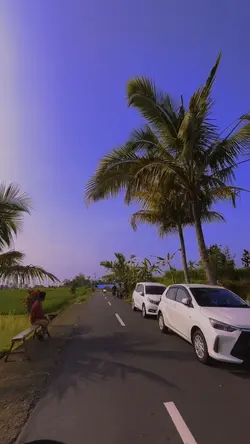 Long video story