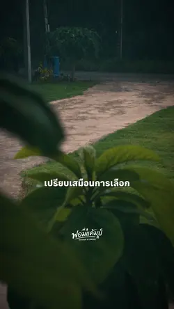 ชีวิตคนเราเปรียบ