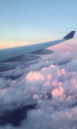 Fly..