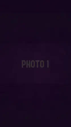The Trending Edit 