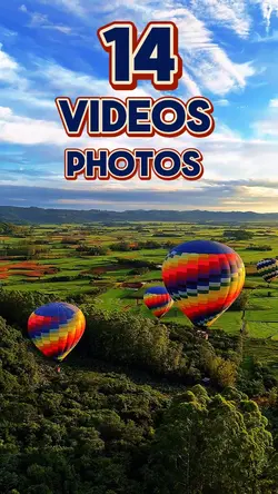 14 new template 2025