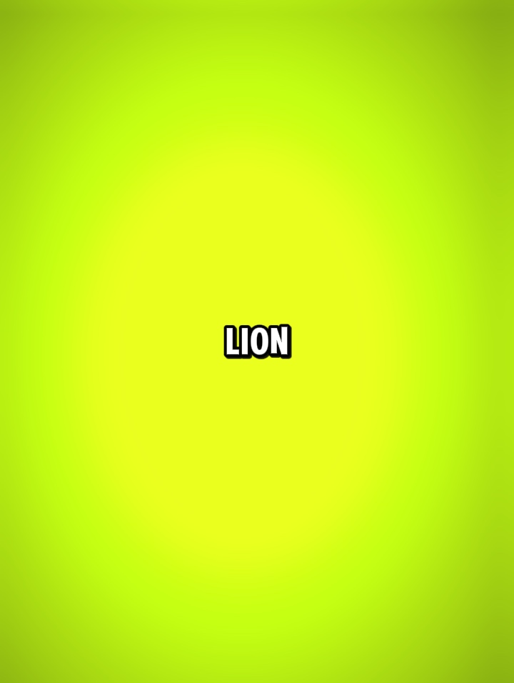 Sea lion