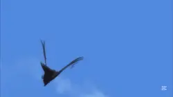 いつの間にか時は流れ