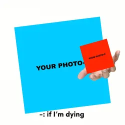 my best friend