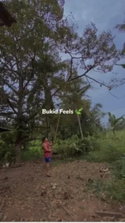 Bukid🍃