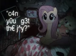 can you get the dog?