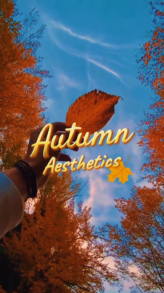 Auntumn Estética 