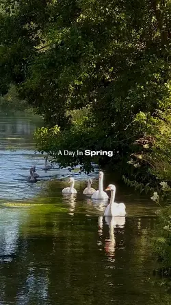 a day in spring