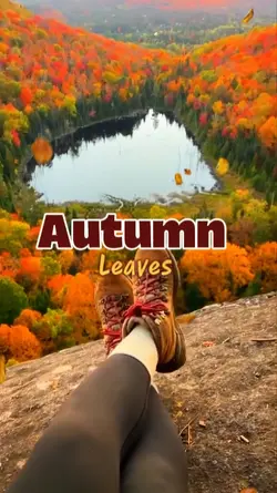 Autumn Leaves