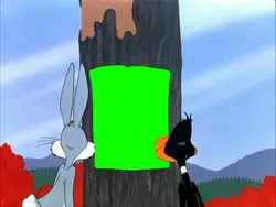 Green scree