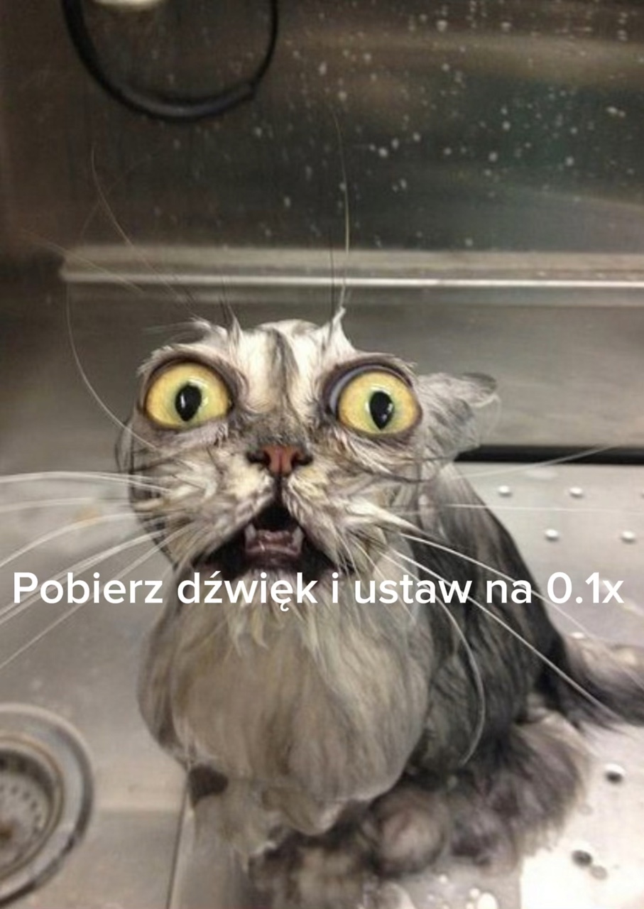 Pobierz i ustaw 0.1x