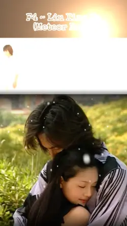 METEOR GARDEN - F4