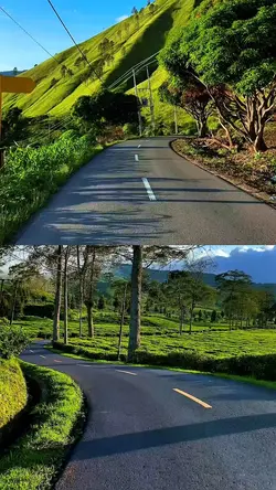 2 video collage