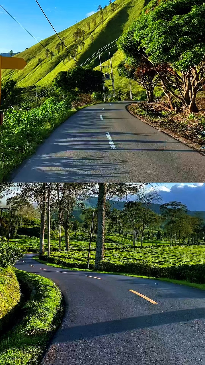 2 video collage