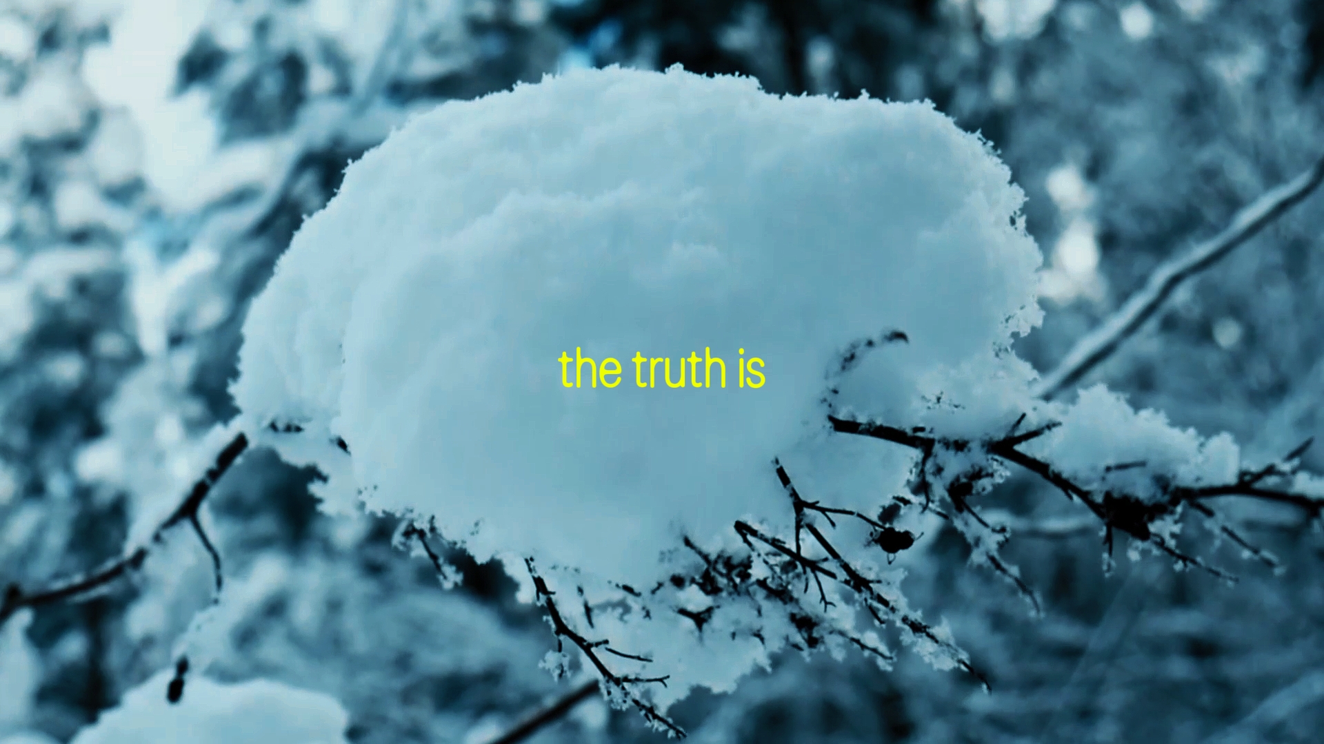 Cover Picture
