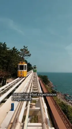 life quotes