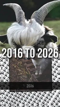 2016 to 2026