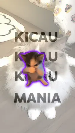 kicau kicau