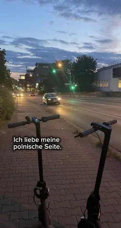 polnische seite