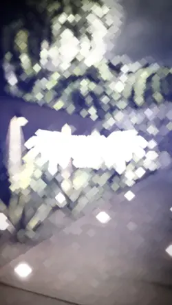 ผมก็ไม่เคยเกรงกลัว 2รูป