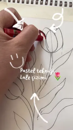 Lale çizimi