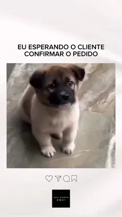 CLIENTE