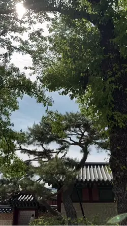 映
