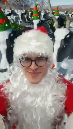 christmascow