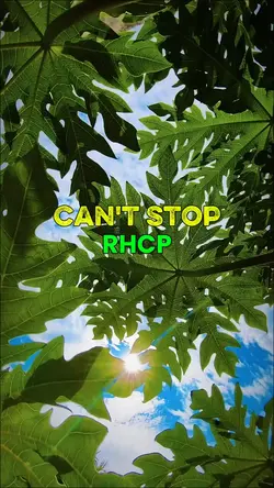Can't Stop