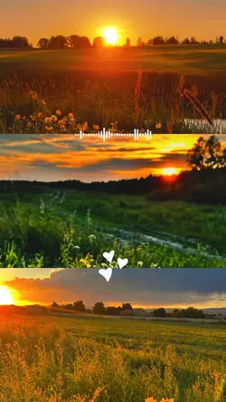 sunset lover