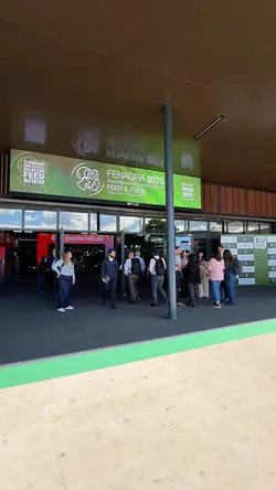 Feira eventos