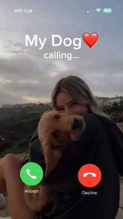 Calling my dog