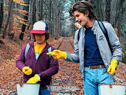 Stranger things 5 