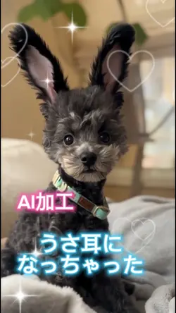 うさ耳になっちゃった🐰同じ画像2枚