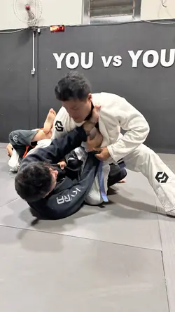 Jiujitsu arte suave