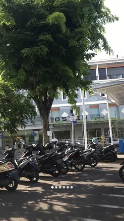 Kuluk ngamah kacang