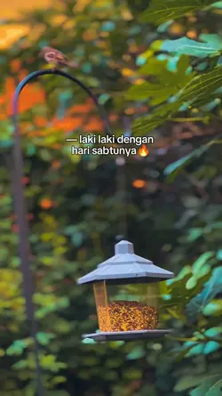 Hari sabtu 