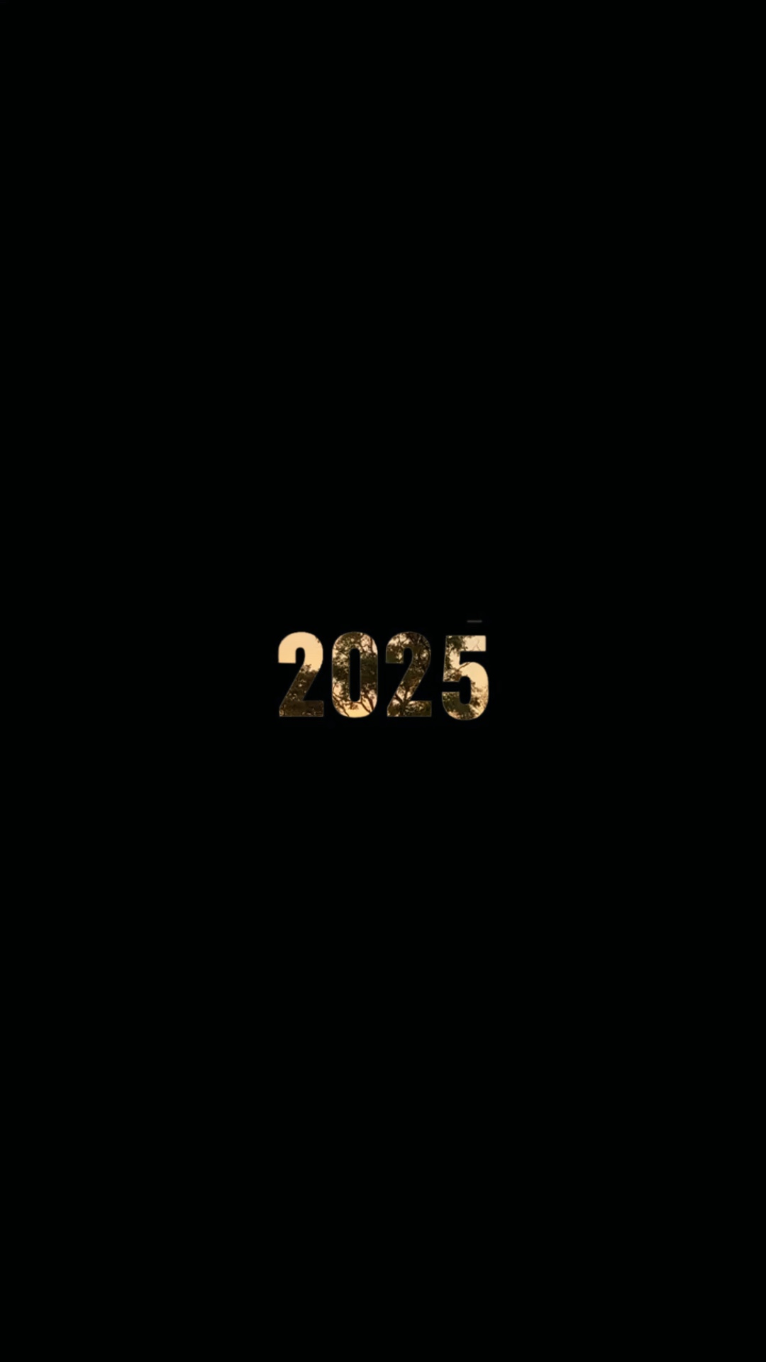 2025 Recap 