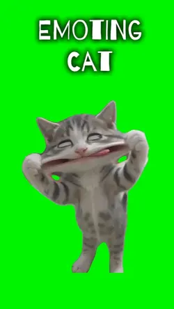 EMOTING CAT