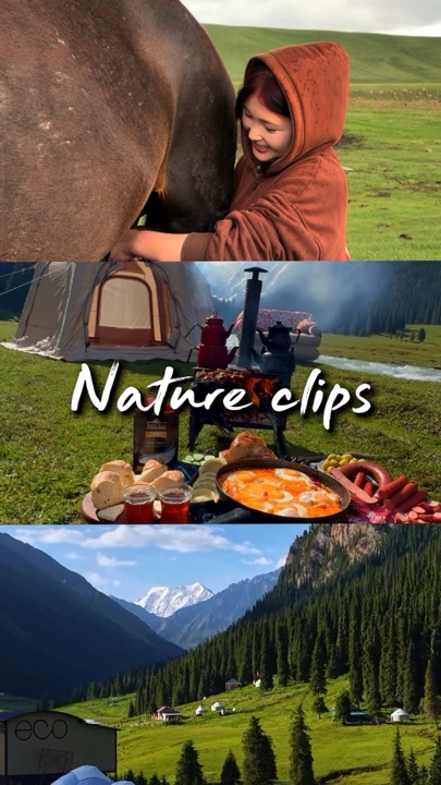 Nature 3Grid synced