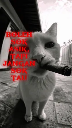 jangan sok tau
