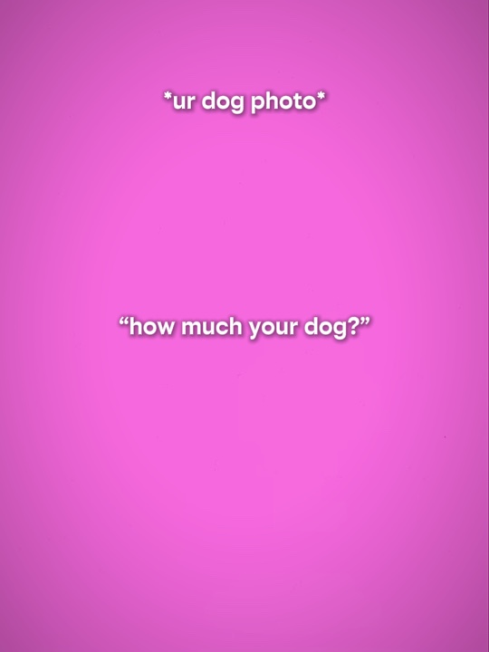 dog